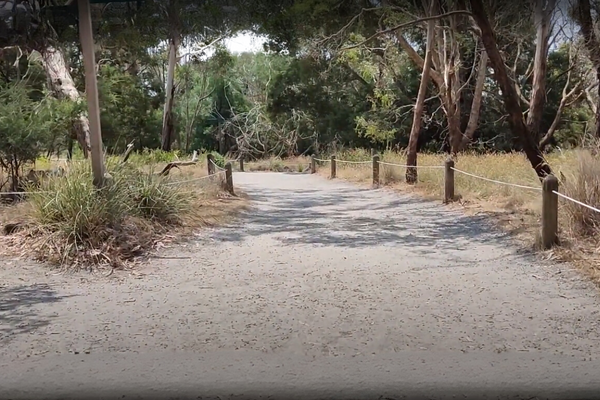 Koala Conservation Reserve