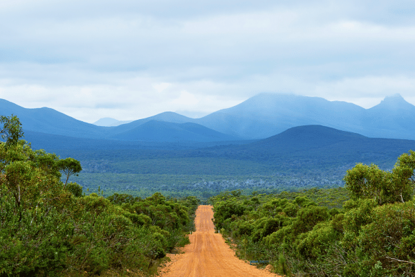 Stirling Range Scenic Drive
