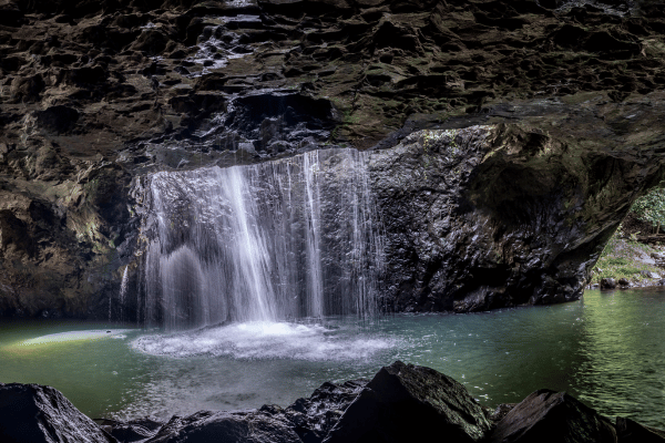 Interesting Facts About Springbrook National Park