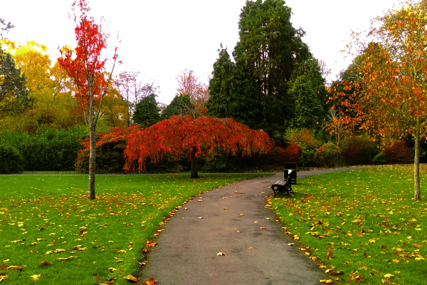 Great Pulteney Street + Henrietta Park