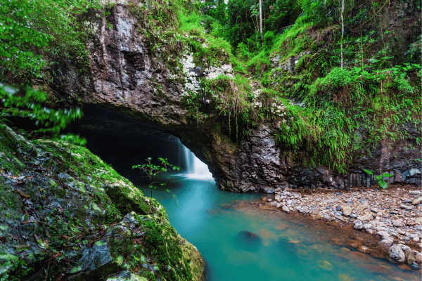 Natural Bridge, Springbrook National Park
