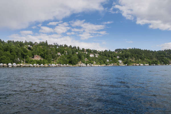 The Fjords; She Lies and Sauna