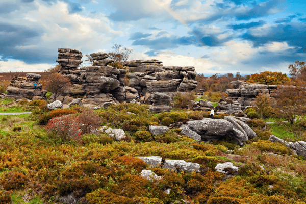Brimham Rocks – Nidderdale's Rock Star!