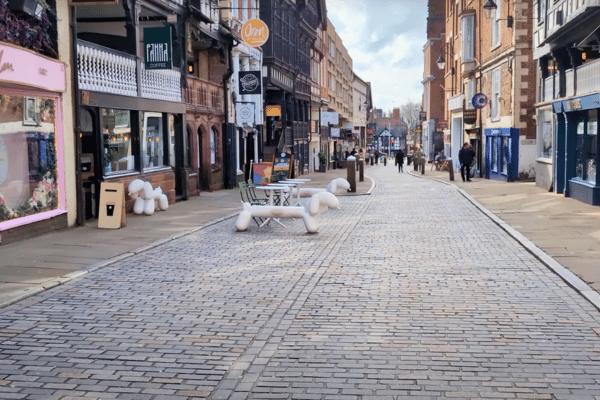 Victorian Chester: A Journey Through Progress And Charm