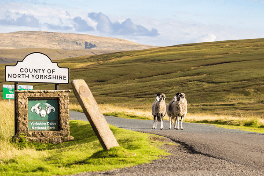 Yorkshire Dales National Park Driving Tour